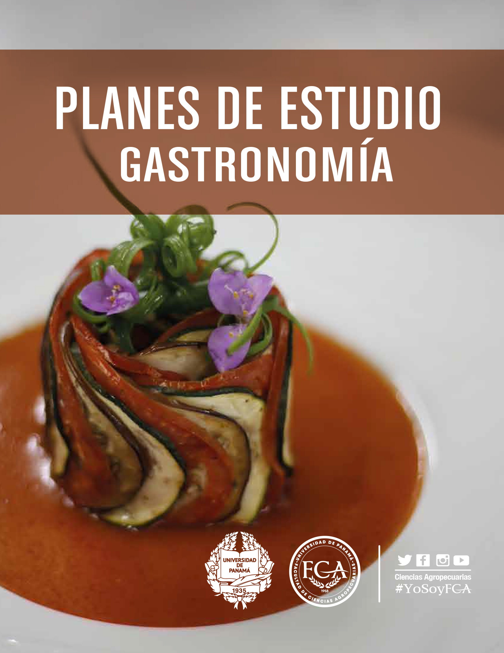 portada Gastronomia
