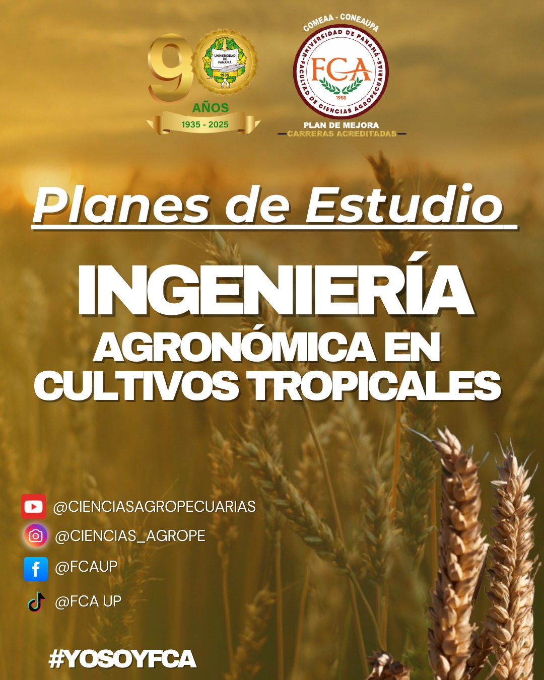 CULTIVOS TROPICALES