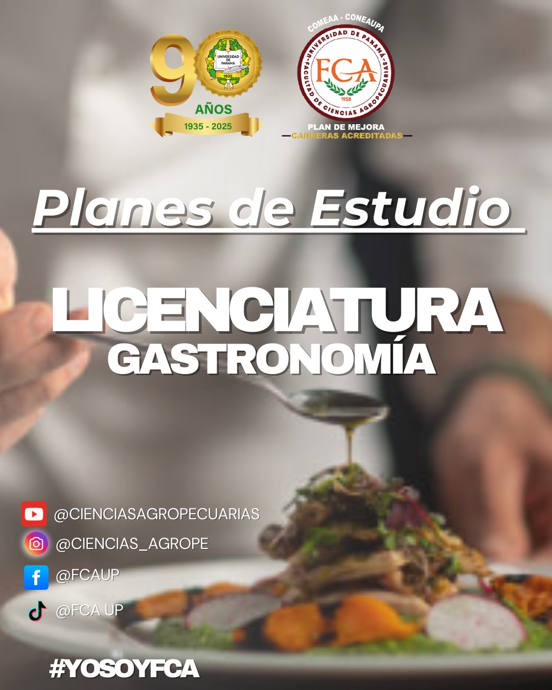 gastronomia